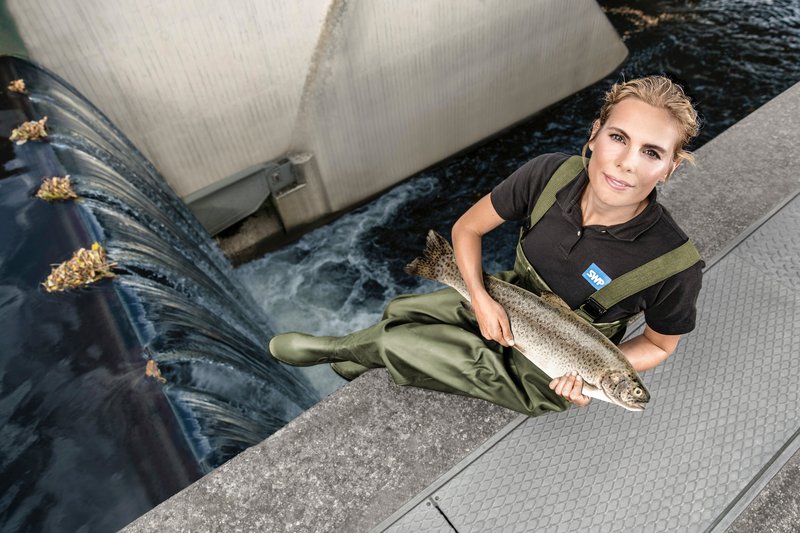 SWP Stadtwerke Pforzheim 'Fischtreppe' – Nachher