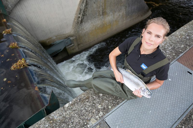 SWP Stadtwerke Pforzheim 'Fischtreppe' – Vorher